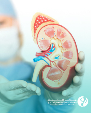 Treatment-of-Kidney-Diseases-Without-Surgery